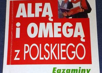 Zostań alfą i omegą z polskiego - Dorota Drabarek, Aleksandra Stachowicz
