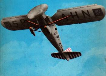 SAMOLOTY RWD - DULĘBA GLASS