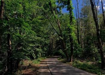 Działka budowlana przy drodze asfaltowej