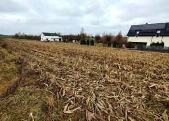 Sprzedaż działki 1600m2 Płouszowice-Kolonia