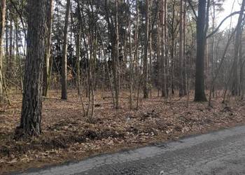 Sprzedam działkę budowlaną o pow. 4432 m2 w Kuznocinie