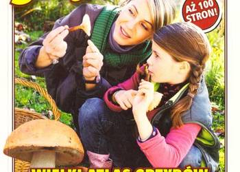 Niezbędnik grzybiarza  -  Biskupski