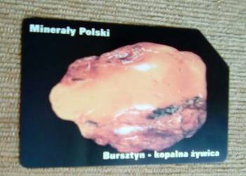 BURSZTYN -SYMBOL POLSKICH KAMIENI OZDOBNYCH