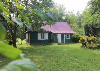 Dobrze utrzymane siedlisko z dużą działką na malowniczym Roztoczu, Michalów