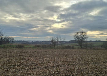 Grunt 1647m2 Morawica