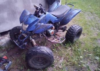 Bashan 250 ciecz