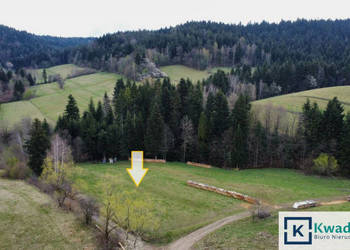 Grunt Zawóz 3100m2