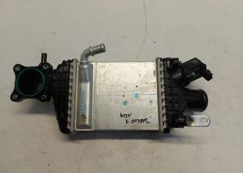 Jaecoo 7 PHEV 2025 intercooler cooler wodny chłodnica powietrza 110600010aa