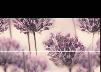 Dekor 2-elementowy Flint Dandelion 2 x 25 x 75, Ceramica Color, płytki