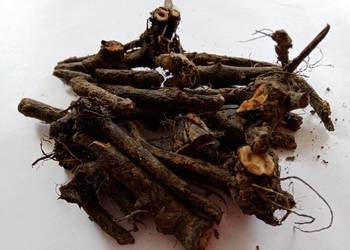 Korzeń żywokostu lekarskiego 1 kg,Zioła z Beskidów.