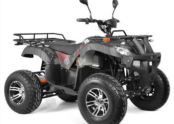 Quad elektryczny z homologacją drogową - Quad akumulatorowy - HECHT 59399