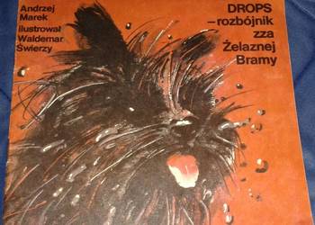 Drops - rozbójnik zza Żelaznej Bramy - Marek Andrzej