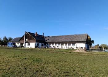 Stajnia,  mieszkanie,  gospodarstwo rolne 2ha,  woj. Opolskie