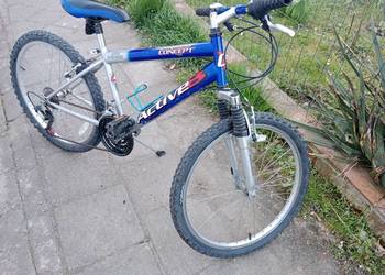 Rower Active 24 / możliwa dostawa