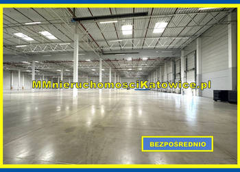 Magazyny hale do wynajęcia Ruda Śląska - Klasa A - przy A4 - BEZ PROWIZJI!