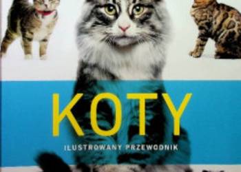 Koty Ilustrowany przewodnik