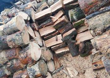 Suche Drewno kominkowe/opałowe Dąb/sosna/brzoza z transportem tanio