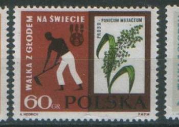 Zn. Fi 1223 - 5 ** 1963