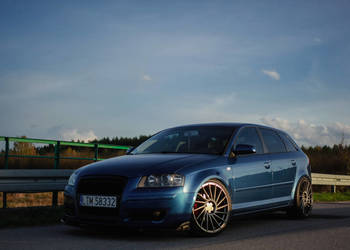 AUDI A3 8p 2.0.TDI DSG
