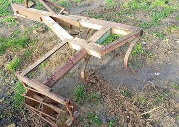 Piernik sadowniczy kultywator.