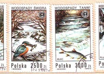 Zn. Fi 3231 - 4 kas 1992