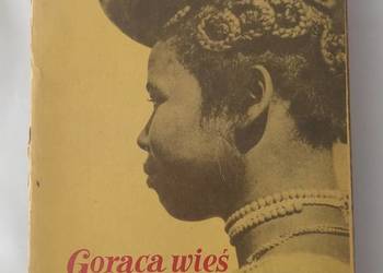 Gorąca wieś AMBINANITELO – Arkady Fiedler