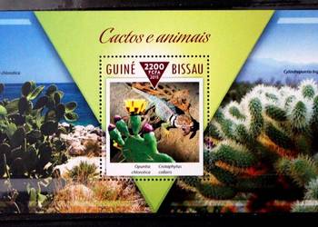 Gwinea Bissau ( kaktusy)