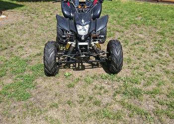 Bashan 200