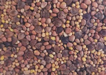 Mieszanka Obszary z roślinami miododajnymi ekoschemat