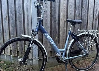 Giant 28” Nexus 7 | Amortyzator | Aluminium | Rower Miejski