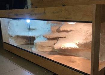 Terrarium pustynne dla gekona lamparciego agamy brodatej