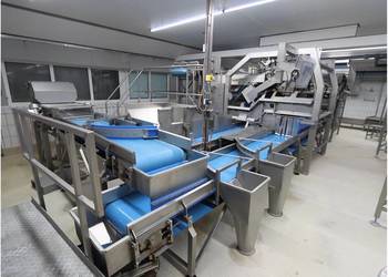 Odenberg / Tomra Linia sortowania ziemniaków