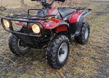 Quad Linhai Hytrack 300 z homologacja l7e