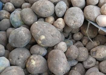 Ziemniaki winieta Ziemniaki winieta