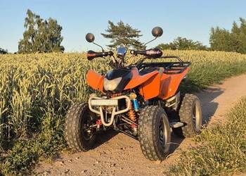 Quad  Eagle 250
