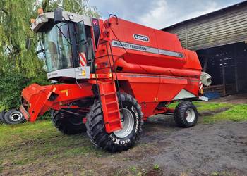 Kombajn zbożowy Massey Ferguson 38 40 górski heder taśmowy 5.55m klima