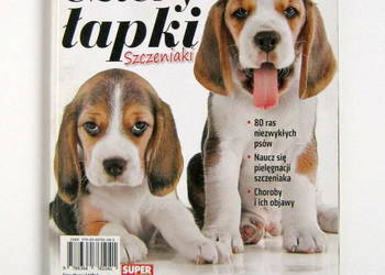 Cztery łapki - Szczeniaki