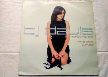 DJ Davis - Wonderful Life 12'' Maxi