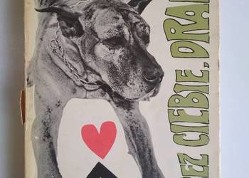 Przez Ciebie Drabie Zofia Chądzyńska