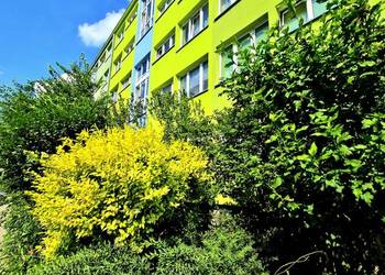 3pok, 56met, Okolice Kruczej ROZKŁAD/BALKON/PIWNICA (Wrocław)