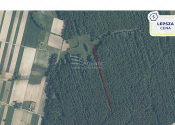 Las mieszany 4200m2 w Mysłowie!