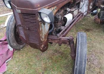 Massey Ferguson tea 20