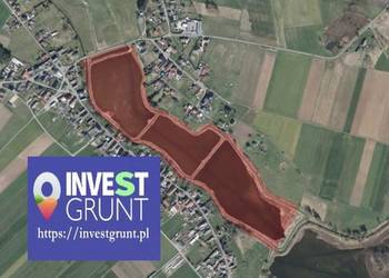 [14,73 ha] przetarg na dzierżawę stawów rybnych