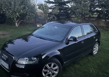 Audi a3 8p 1.9TDI