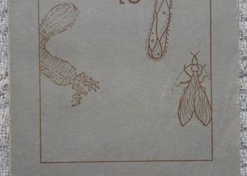 Bezkręgowce Czesław Jura Bezkręgowce Czesław Jura