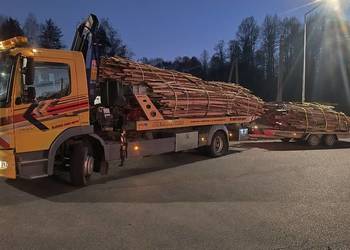 Oflisy dębowe dąb opałowy paczki drewno suche