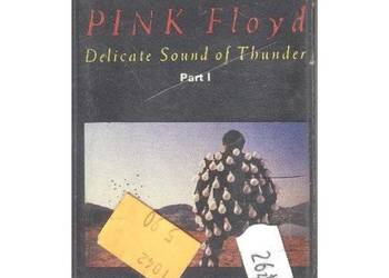Pink Floyd - "Delicate Sound of Thunder (Part I)"