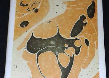 Starzy znajomi - Bohdan Zadura