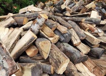 Drzewno opałowe różnych rodzajów