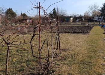 od Radość działka odstąpie